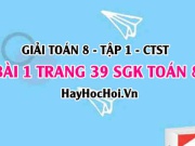 Giải bài 1 trang 39 Toán 8 Tập 1 SGK Chân trời sáng tạo